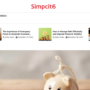 SimpCit6 – Simplifying Modern Life Through Smart Content